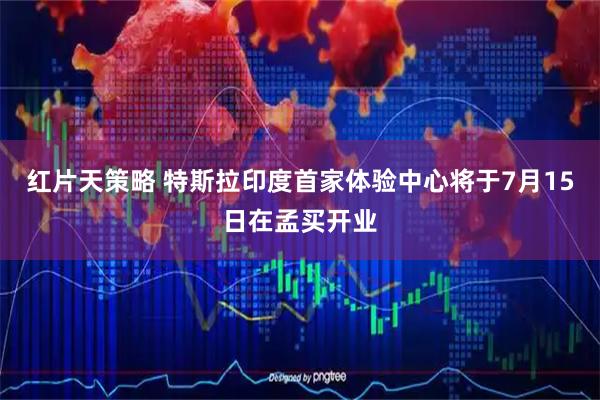 红片天策略 特斯拉印度首家体验中心将于7月15日在孟买开业